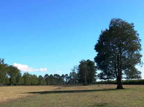 53 Ascot Lane, Otakiri