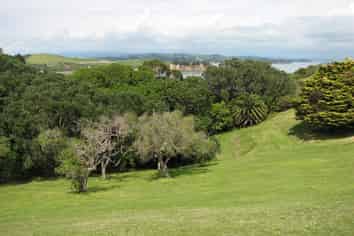 . Pakatoa Island, Auckland Central