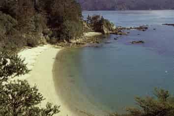 . Pakatoa Island, Auckland Central