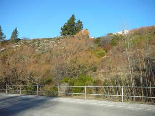 41 Earnscleugh Road, Alexandra