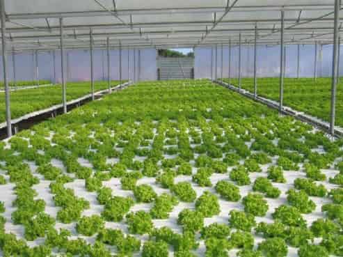 155 Ormond Road, Twyford