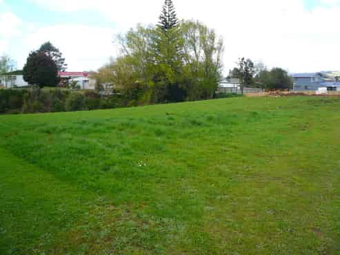 65 Lough Bourne Drive, Pukekohe