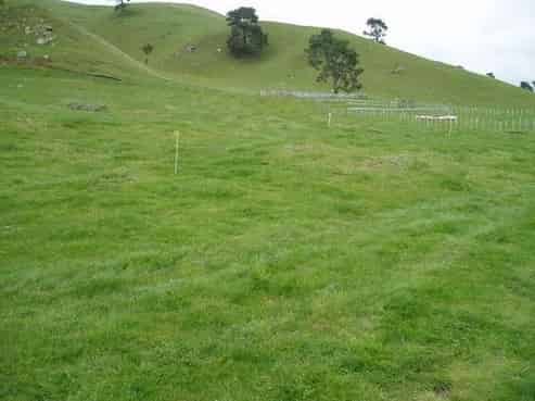 410 Te Weta Road, Ngakuru