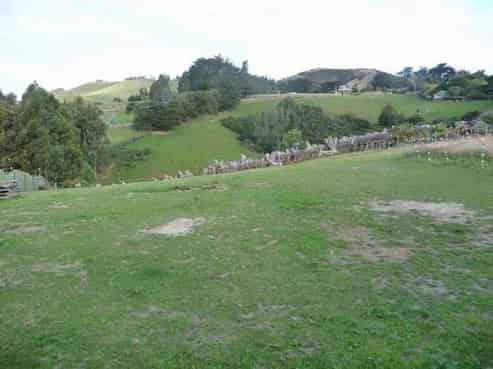 39 Seaton Road, Portobello