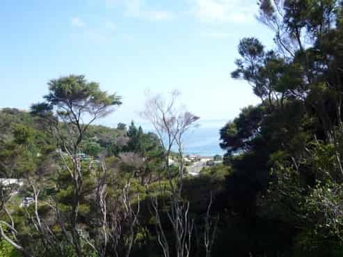 41A Tiri View Road, Palm Beach