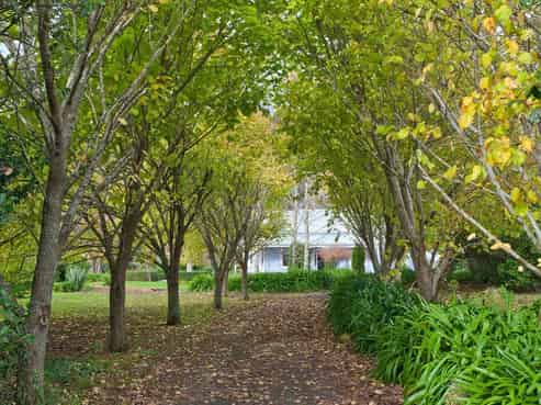 90 Clark And Denize Road, Pukekawa