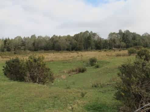 720 Atarau Road, Atarau