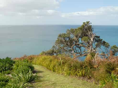 51 Dolphin Place, Tutukaka