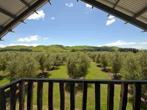 466 Ruakokoputuna Road, Cape Palliser