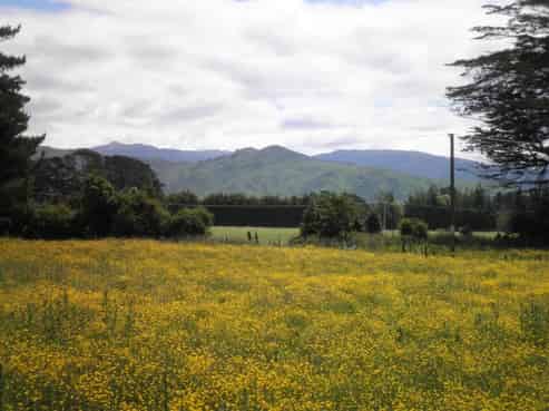 10 Bright Street, Eketahuna