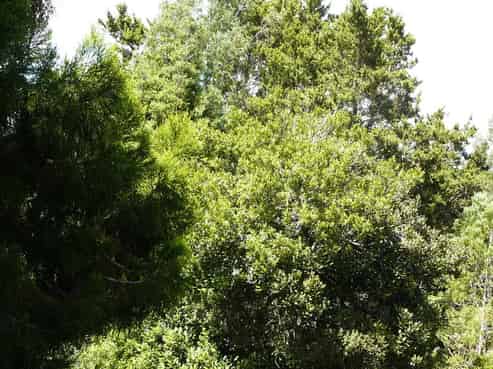 2825 Horeke Road, Horeke