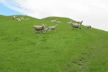 47 Taiko Hall Road, Timaru