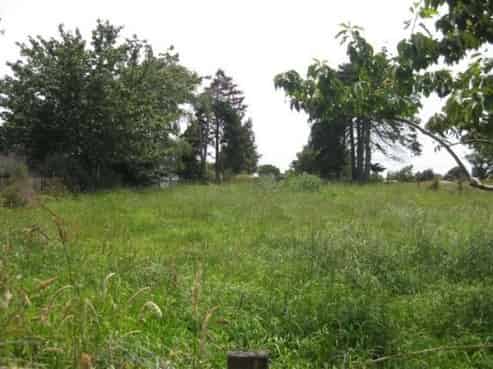 34 Brassey Street, Waverley