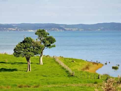 986 Tinopai Road, Tinopai