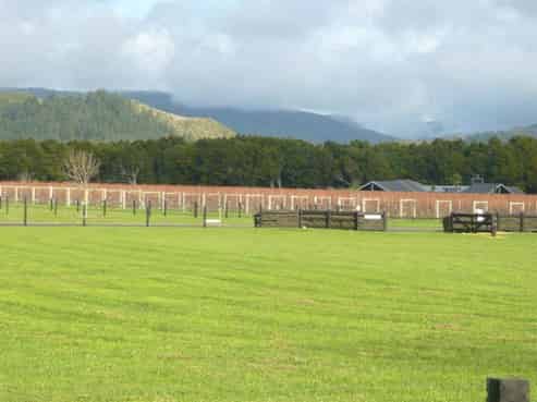 24 Saint Laurent Way, Ohau