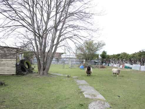 37 Gray Street, Hinds