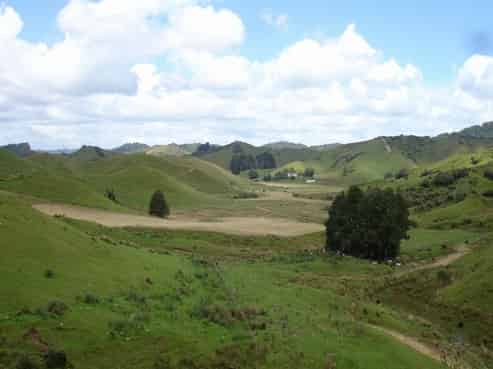 138 Quarry Road, Pohokura and Surrounds