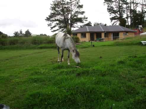 453 Pigs Head Road, Hukerenui and Surrounds