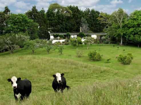 48 Marsh Road, Wharehine