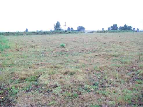 1662 State Highway 2, Pongakawa