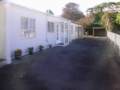 17B Parsons Street, Vogeltown