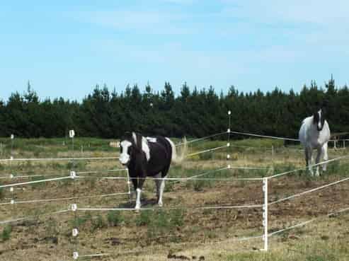 994 Lower Styx Road, Brooklands