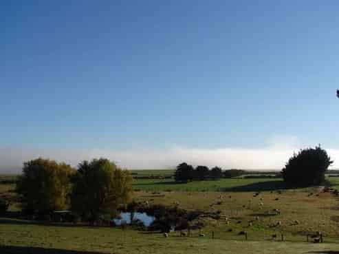 309B Lorne Dacre Road, Roslyn Bush