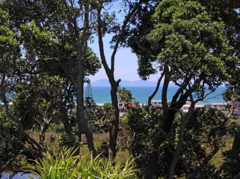 155 Koutunui Road, Athenree