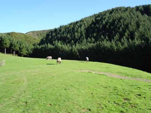 376 South Makara Road, Makara
