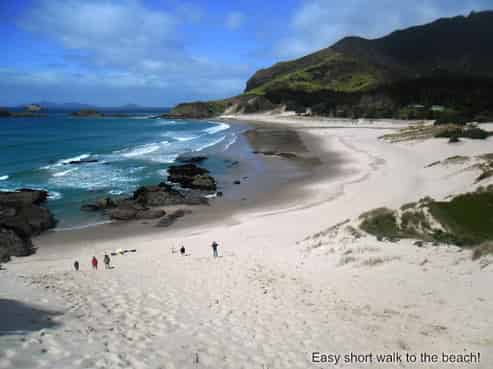 354 Ocean Beach Road, Whangarei Heads