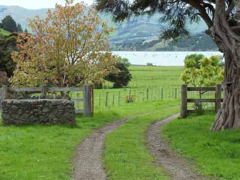 250 Wainui Main Road, French Farm