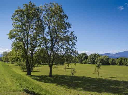 20 Henderson Street, Riversdale