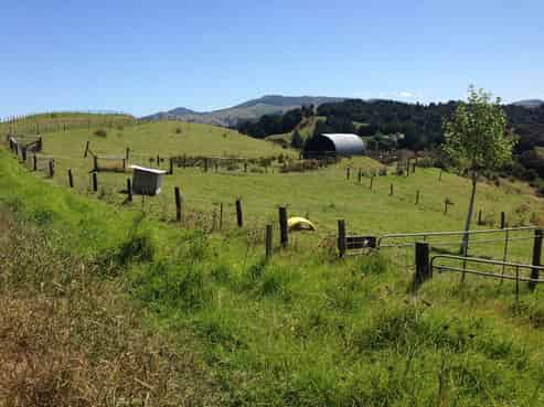 211 Irvine Road, Kokopu