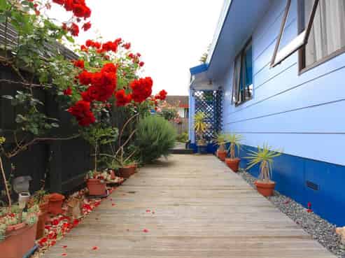 60C Insoll Avenue, Enderley