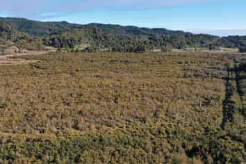 Lot 2 DP 3 Blue Spur Road, Kaniere