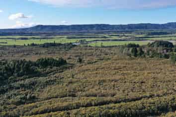 Lot 2 DP 3 Blue Spur Road, Kaniere