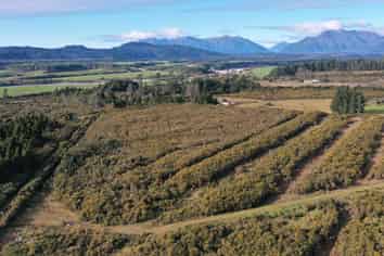 Lot 2 DP 3 Blue Spur Road, Kaniere