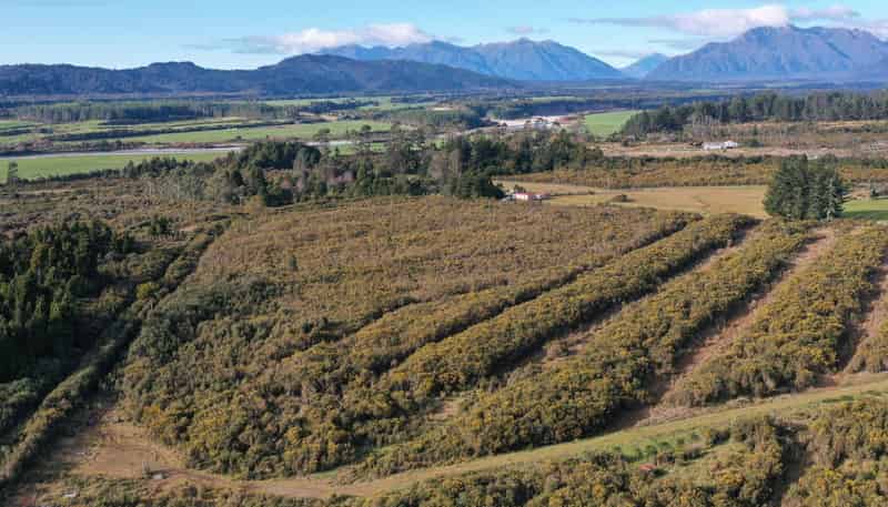 Lot 2 DP 3 Blue Spur Road, Kaniere