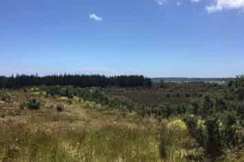 Lot 2 DP 3 Blue Spur Road, Kaniere