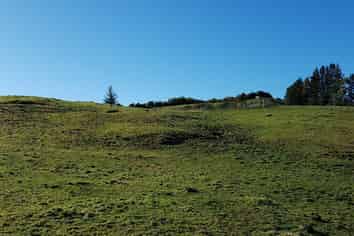 445 Lake Kaniere Road, Kaniere