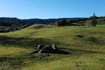 445 Lake Kaniere Road, Kaniere