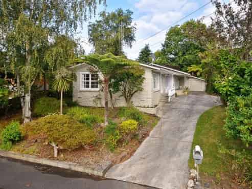 4 Balfour Crescent, Riverlea