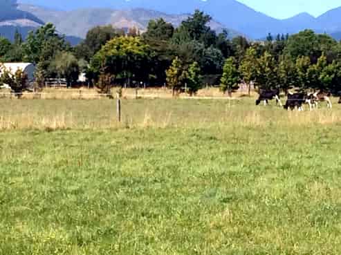 58 Swamp Road, Appleby