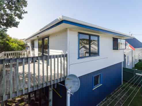 1A Troy Street, Kilbirnie