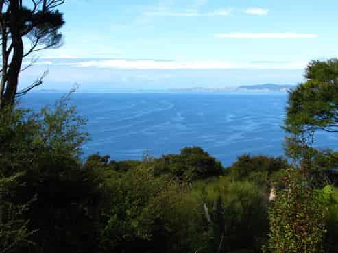 537D Tuateawa Road, Tuateawa