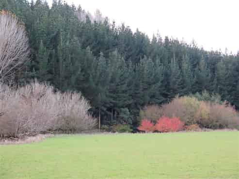 3343 State Highway 1, Hunterville