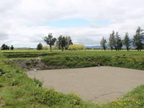 137 Franz Josef Highway, Whataroa