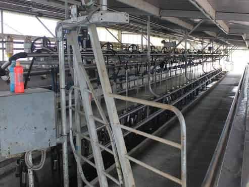 137 Franz Josef Highway, Whataroa