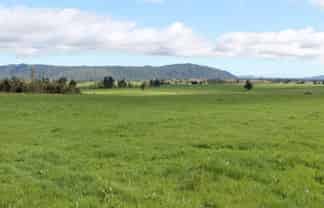 137 Franz Josef Highway, Whataroa