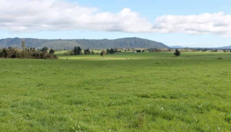 137 Franz Josef Highway, Whataroa